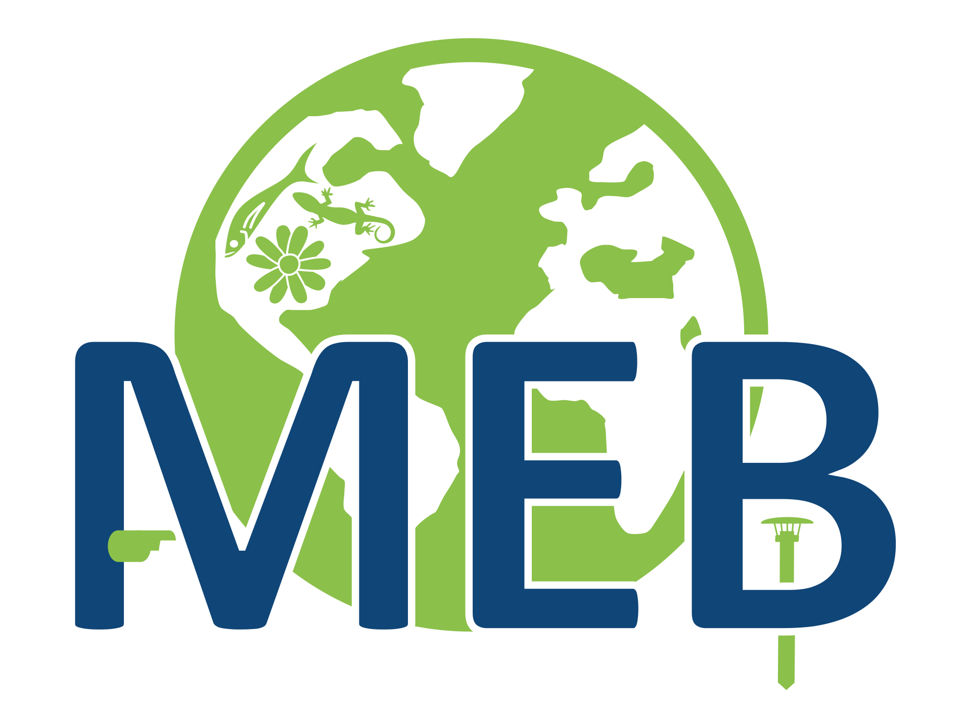 Meb-Network